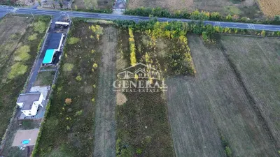 Teren Cicarlau - poza 7