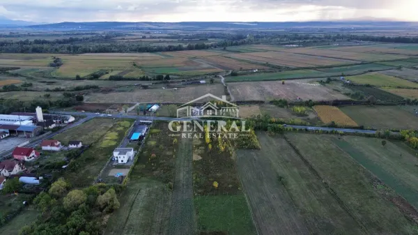 Teren Cicarlau - poza 8