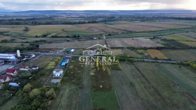 Teren Cicarlau - poza 8