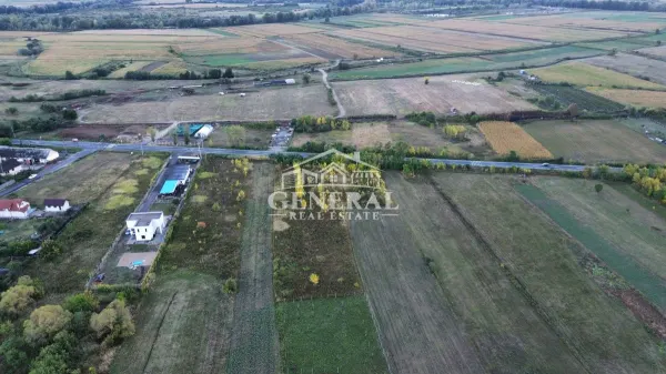Teren Cicarlau - poza 9