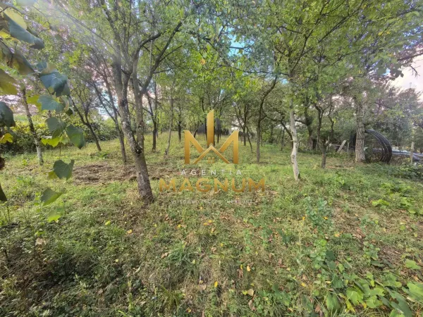 Casă 2 camere Dumbrăvița - poza 8