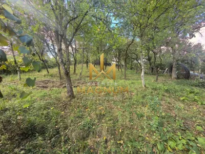 Casă 2 camere Dumbrăvița - poza 8