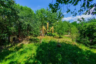 Casă 4 camere Baia Mare - poza 15