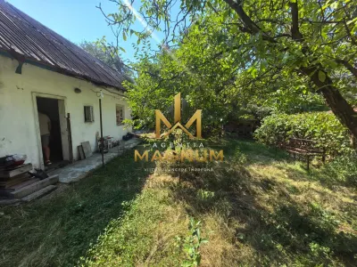 Casă 4 camere Baia Sprie - poza 12