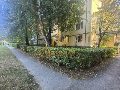 Spațiu comercial Baia Mare - poza 8