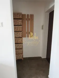 Apartament 1 camera Timișoara - poza 11