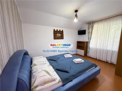 Hotel/Pensiune Bran - poza 11