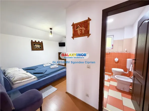 Hotel/Pensiune Bran - poza 12